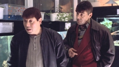 ����� ������ ����