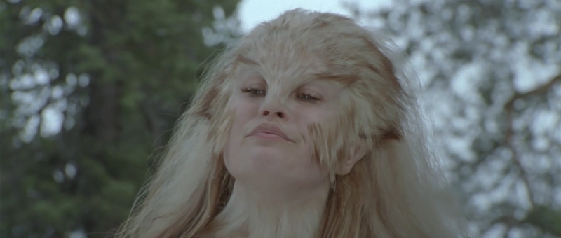 ����� - ���� 13_������ ���������� � ����������� ����